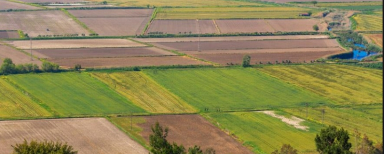 DEVLET ARAZİSİ NASIL ALINIR